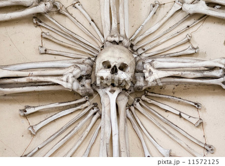 Sedlec Ossuary - Charnel house 11572125