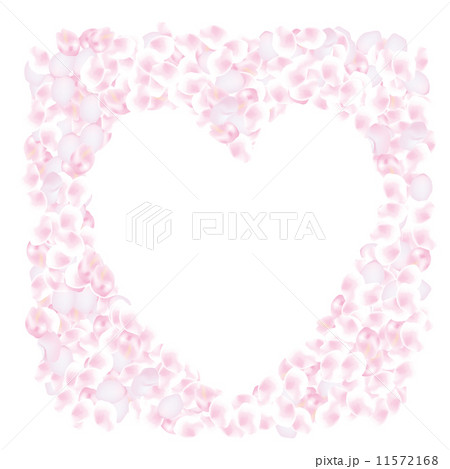 一面の桜の花びら 11572168