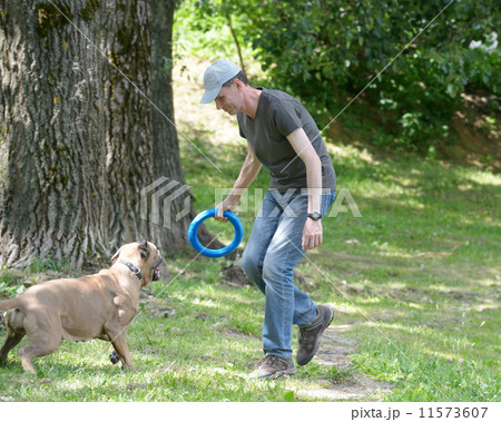 Man playing with his dog Man playing with his dog 11573607