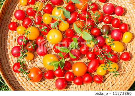 Assorted colorful tomatoes Assorted colorful tomatoes 11573860