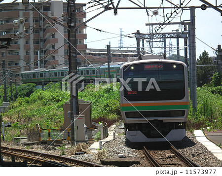 湘南新宿ライン E231系 大船駅 湘南新宿ライン E231系 大船駅 11573977