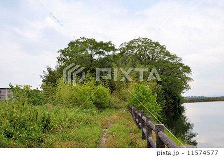 勝山古墳 勝山古墳 11574577