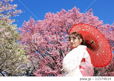 見返り美人と満開の桜 見返り美人と満開の桜 11574614