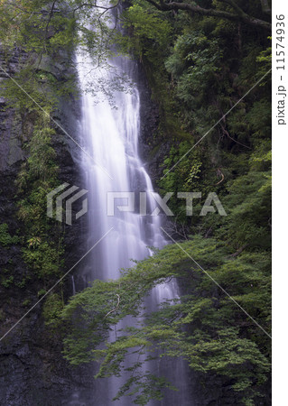 箕面大滝　 11574936