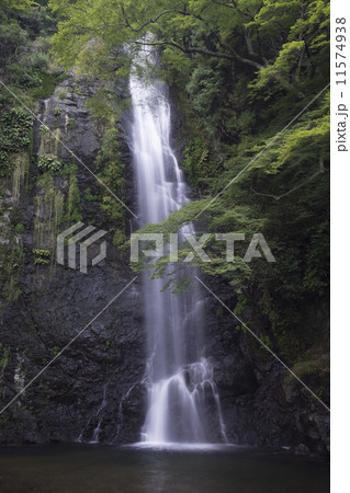 箕面大滝　 11574938