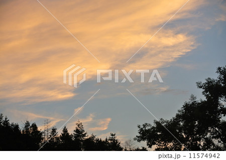 夕刻 夕刻 11574942