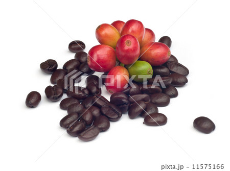 coffee beans . 11575166