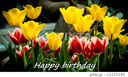 Mobile "Happy Birthday" greetings - 6 11575295