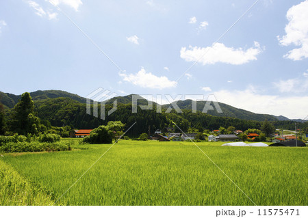 温泉津町井田地区 温泉津町井田地区 11575471