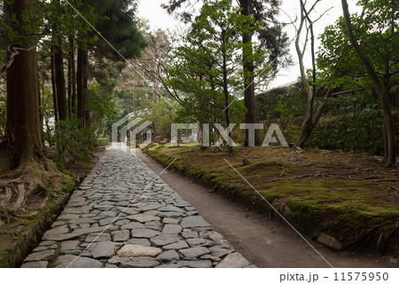 法然院 法然院 11575950