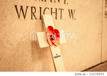 Poppy at the menin gate in Ypres Flander Belgium Poppy at the menin gate in Ypres Flander Belgium 11576041