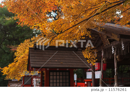 野宮神社　本殿 11576261