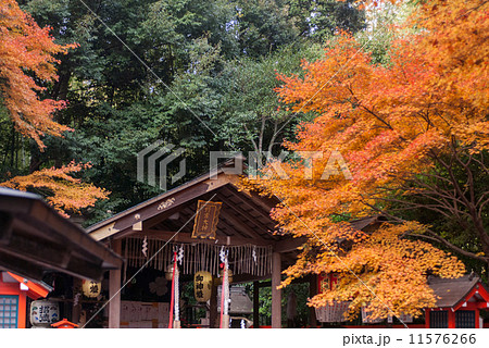 野宮神社　本殿 11576266
