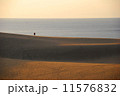 鳥取砂丘　夕景 11576832
