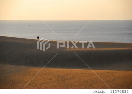 鳥取砂丘 夕景 鳥取砂丘 夕景 11576832