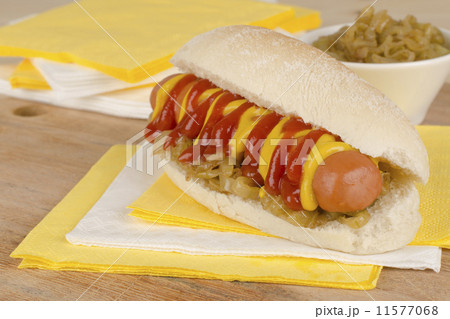 Simple Hot Dog with mustard and ketchup & caramelized onions  11577068