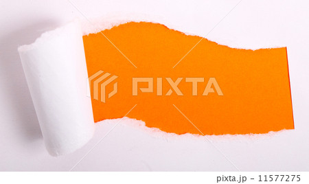 Torn paper Torn paper 11577275