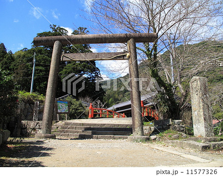 熊野古道 中辺路の大門坂 熊野古道 中辺路の大門坂 11577326