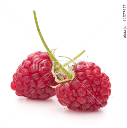 Sweet raspberry isolated on white background cutout 11577675