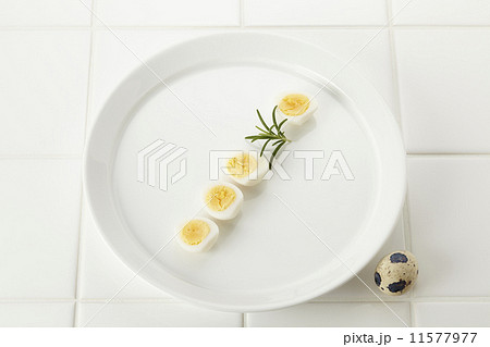 鶉のゆで卵 11577977