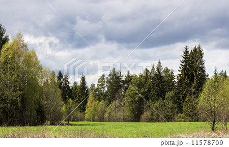 Spring landscape 11578709