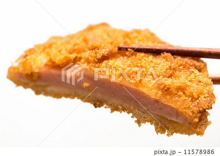 ハムかつ Ham cutlet 白背景 11578986