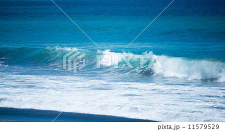 海 11579529