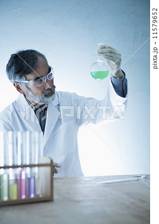 シニア・ホビーライフ/学者 11579652