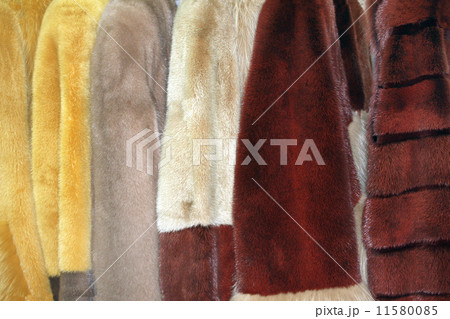 Row of fur coats of different colors 11580085