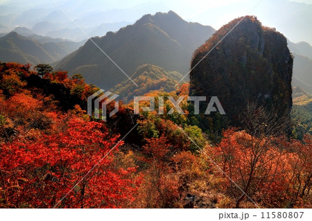 西上州・鹿岳の紅葉（一ノ岳、四ツ又山方面を望む） 11580807