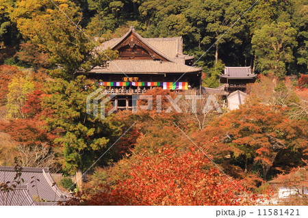 長谷寺 奈良 の紅葉の写真素材