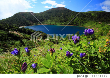 吾妻連峰 一切経山 五色沼とリンドウの花の写真素材