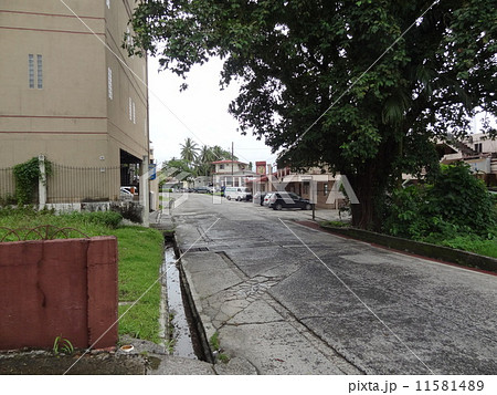 パラオ コロール島の市街地 パラオ コロール島の市街地 11581489