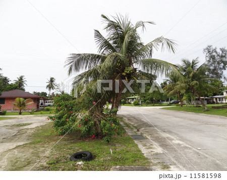 パラオ　ペリリュー島 11581598