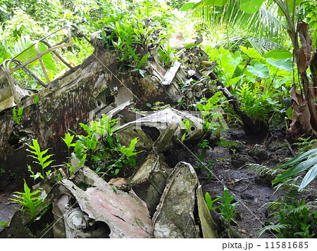 パラオ ペリリュー島 ゼロ戦の残骸 パラオ ペリリュー島 ゼロ戦の残骸 11581685