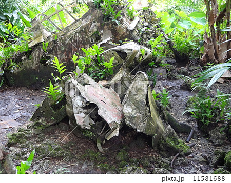 パラオ ペリリュー島 ゼロ戦の残骸 パラオ ペリリュー島 ゼロ戦の残骸 11581688