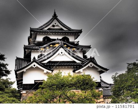 国宝彦根城 天守閣 国宝彦根城 天守閣 11581701