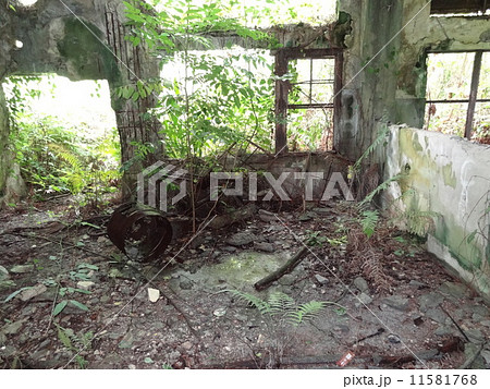 パラオ　ペリリュー島　日本軍総司令部跡 11581768