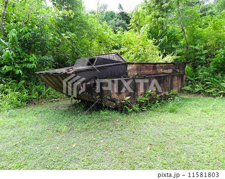 パラオ ペリリュー島 米軍戦車 パラオ ペリリュー島 米軍戦車 11581803