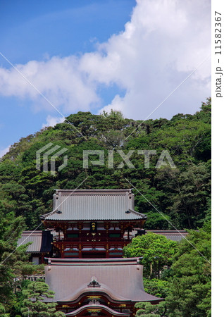 鶴岡八幡宮 11582367