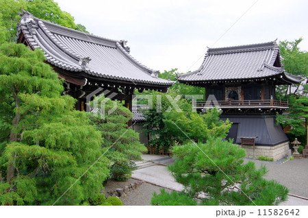 大雲院　総門と鐘楼 11582642