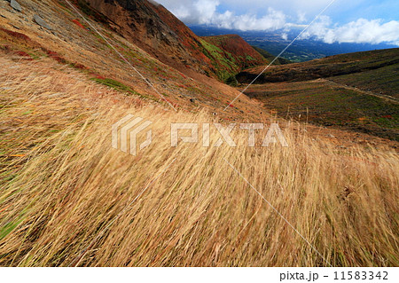 那須連峰・峰の茶屋付近の草原と峠ノ茶屋への登山道 11583342