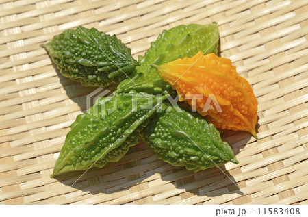 ミニミニゴーヤの収穫 11583408