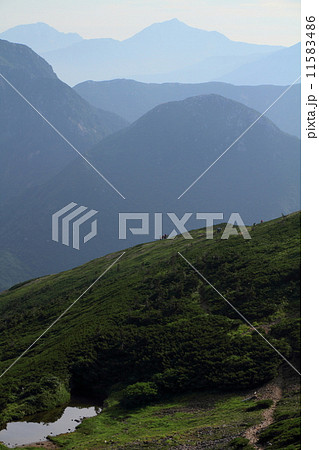 北アルプス・薬師岳の下りから見る後立山連峰(五竜・鹿島槍) 北アルプス・薬師岳の下りから見る後立山連峰(五竜・鹿島槍) 11583486