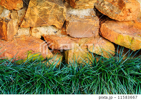Fresh green grass on stone background Fresh green grass on stone background 11583667