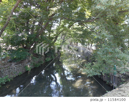 玉川上水 11584100