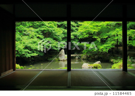 洛北蓮華寺の新緑 11584465