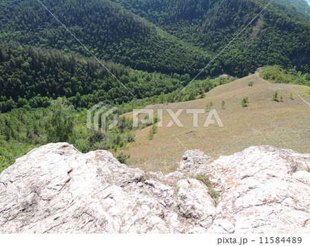 field in the forest on the mountain sunny summer day 11584489
