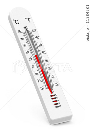 the thermometer 11584531