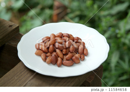 落花生とピーナッツ 11584658